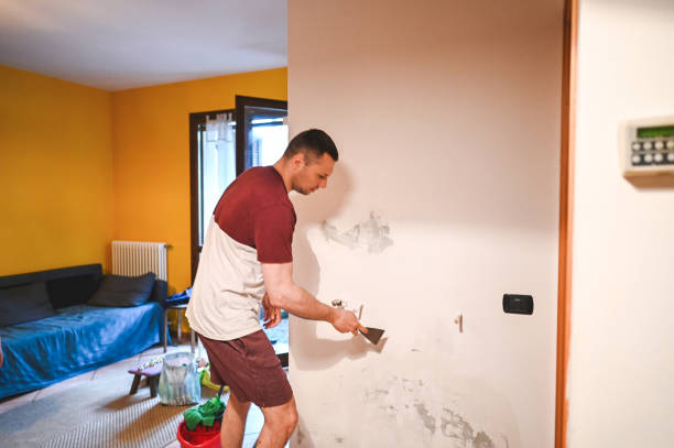 Home Mold Removal in South Beach, FL